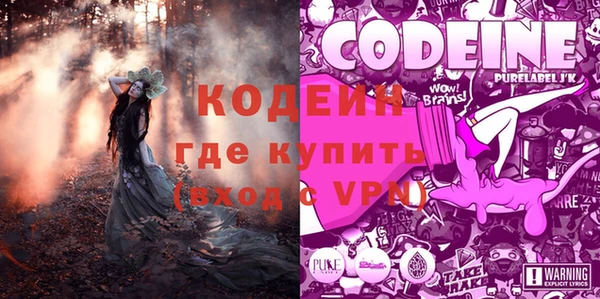 a pvp Белокуриха