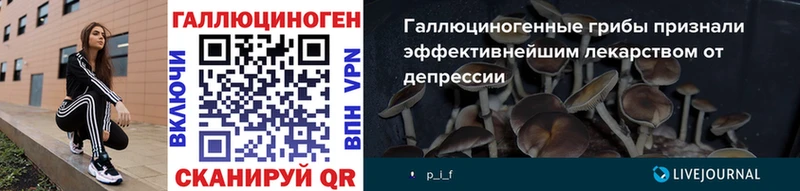 Галлюциногенные грибы Cubensis  Купить закладки  Североморск 
